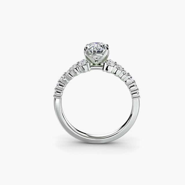 CELESTINE Cluster Ring